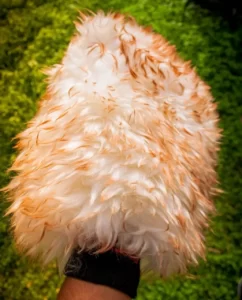 Рукавиця з вовни для миття авто MaxShine Lambswool Wash Mitt