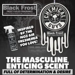 Ароматизатор підвісний з джентельменським ароматом свіжості Chemical Guys Black Frost 3 шт (AIR405)