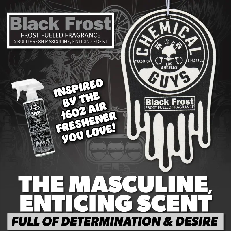 Ароматизатор підвісний з джентельменським ароматом свіжості Chemical Guys Black Frost 3 шт (AIR405)