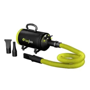 Турбосушка з підігрівом Bigboi BLOWRMINI 2600W (213818)