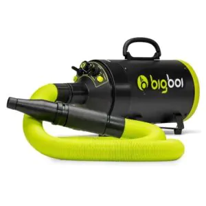 Турбосушка з підігрівом Bigboi BLOWRMINI 2600W (213818)